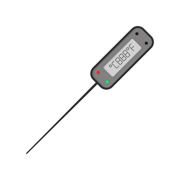 Digital Kitchen Thermometer Stock Illustration - Download Image Now -  Thermometer, Food, Meat - iStock