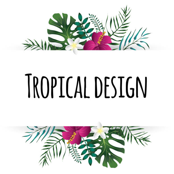 Tropical Leaves Illustration. Summer Vector Design Element. Tropical Leaves Illustration. Summer Vector Design Element, isolated on White Background. jungle leaf pattern stock illustrations