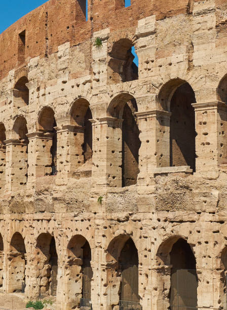 façade du colisée romain. rome, lazio, italie. - light nobody coliseum vertical photos et images de collection