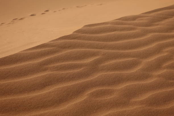 istock Erg Chebbi, Sahara desert, sand, texture 864264010