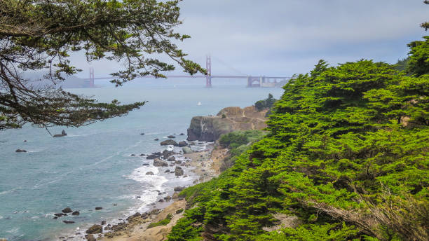 istock Visiting San Francisco in California 864273256