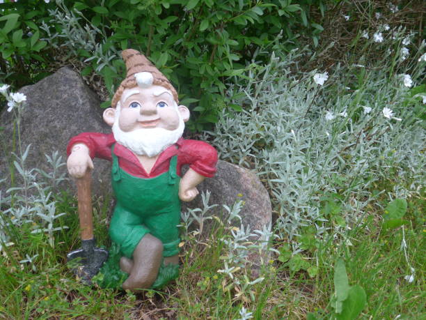 istock Funny Garden Gnome during gardening 864273352