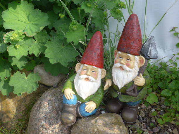 istock Funny Garden Gnome during gardening 864273426