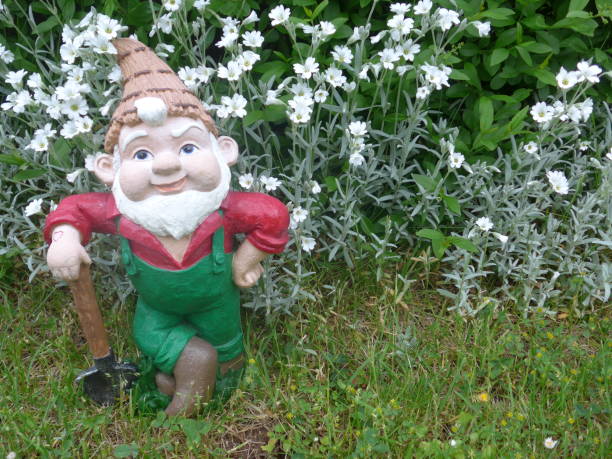 istock Funny Garden Gnome during gardening 864273468