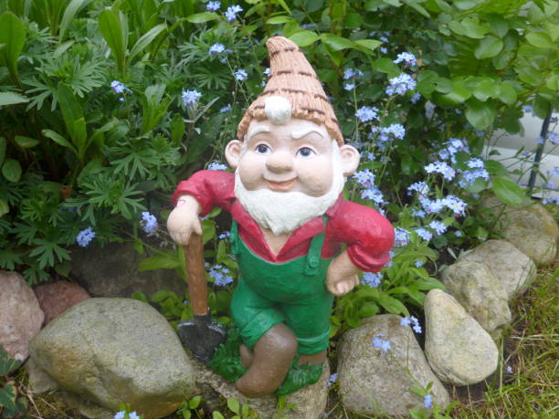 istock Funny Garden Gnome during gardening 864273488