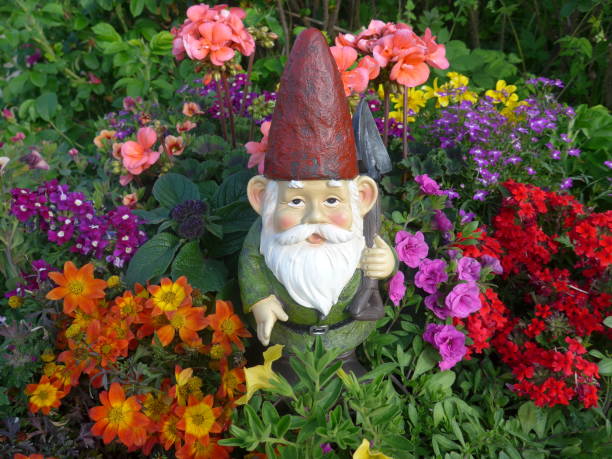 istock Funny Garden Gnome during gardening 864273662