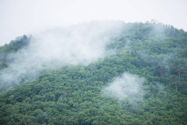 istock The mountain which is surrounded for morning fog 864273948