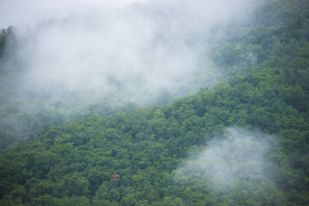 istock The mountain which is surrounded for morning fog 864274014
