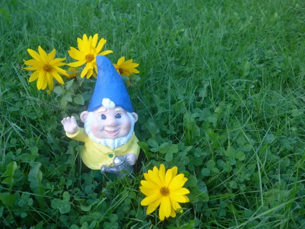 Photo of Funny garden dwarf on a green meadow with flowers