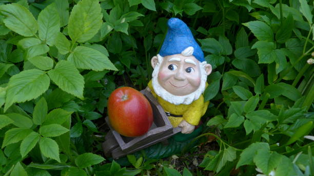 istock Funny garden dwarf on a green meadow with flowers 864292500