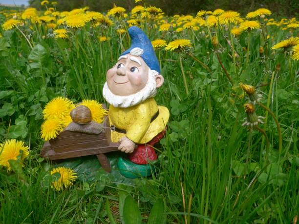 istock Funny garden dwarf on a green meadow with flowers 864295298
