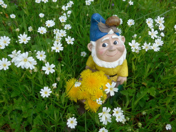 istock Funny garden dwarf on a green meadow with flowers 864296516