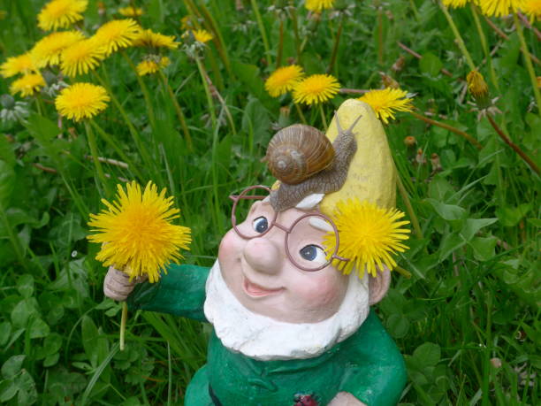 istock Funny garden dwarf on a green meadow with flowers 864296912