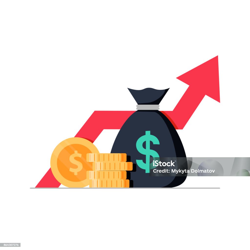 Financial performance, statistic report, boost business productivity, mutual fund, return on investment Financial performance, statistic report, boost business productivity, mutual fund, return on investment, finance consolidation, budget planning, income growth concept, vector flat icon Investment stock vector