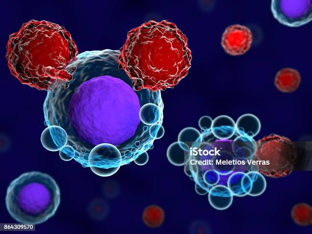 Tzellen Und Krebszellen Stockfoto und mehr Bilder von T-Zelle - T-Zelle, Auto, Chimärer Antigenrezeptor