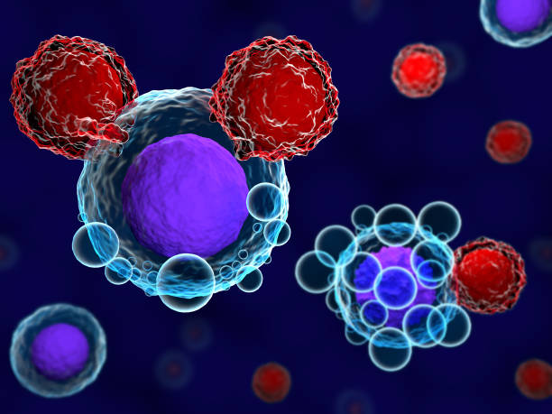 istock T cells and cancer cells 864309570