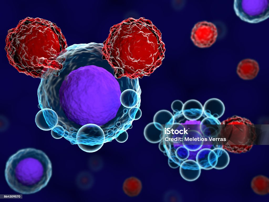 T cells and cancer cells 3d render of T cells attacking and killing cancer cells T-Cell Stock Photo