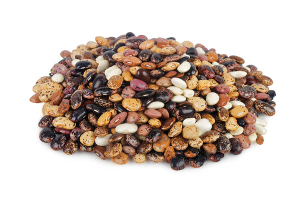 istock Pile of pinto beans 864312096