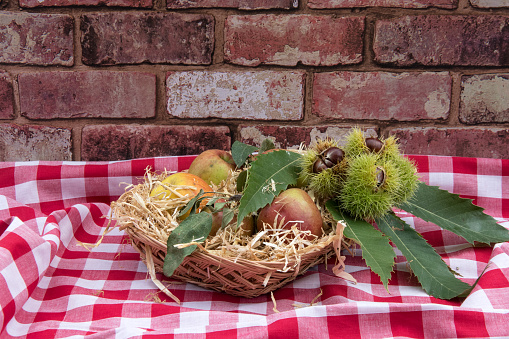 A basket full of straw with apples and chestnuts on a red and white gingham tablecloth in front of a red brick wall.