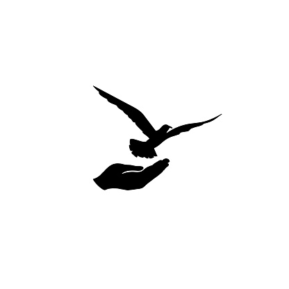 Dove bird free with hand. Bird flighing. Peace symbol. Pigeon and hand silhouette. freedom sign.