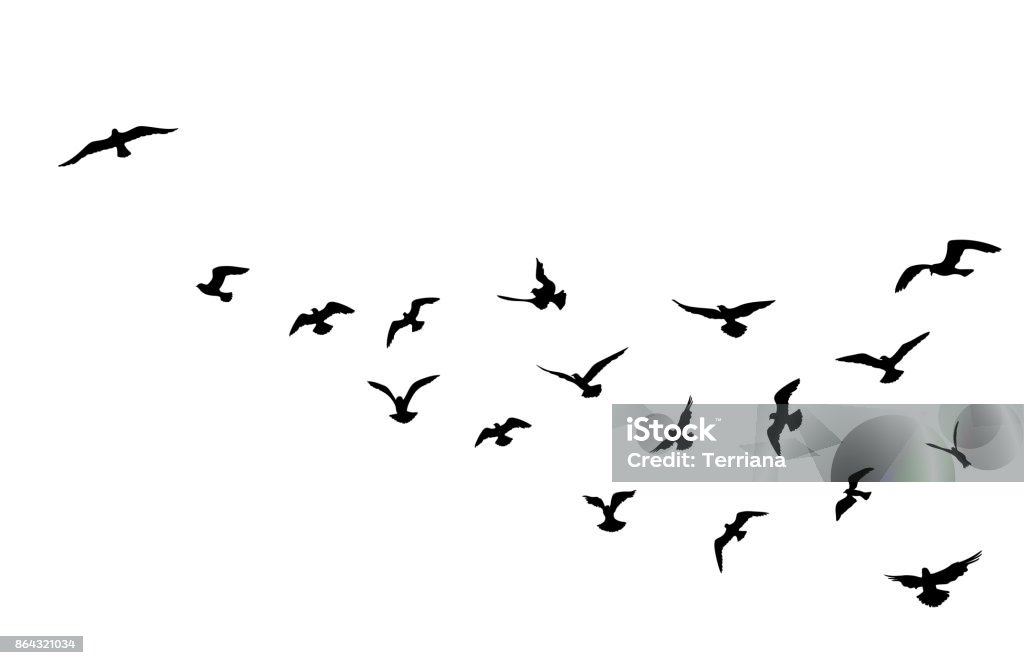 Bandada de aves volando sobre fondo de cielo azul. Fauna silvestre. - arte vectorial de Pájaro libre de derechos