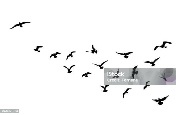 Stormo Di Uccelli Che Vola Su Sfondo Cielo Blu Fauna Animale - Immagini vettoriali stock e altre immagini di Uccello