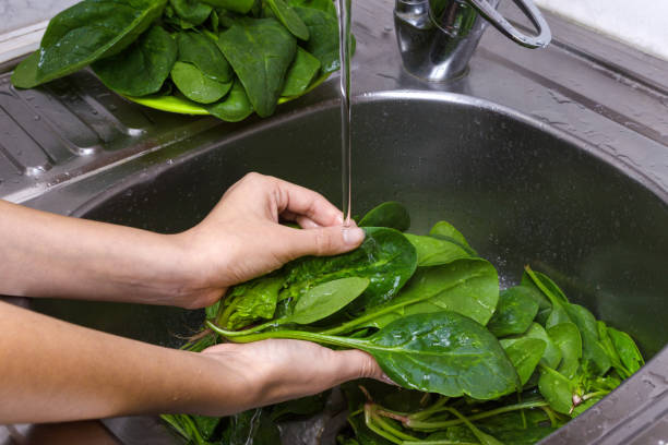 istock Woman Hands Washing Spinach in the kitchen 864329704