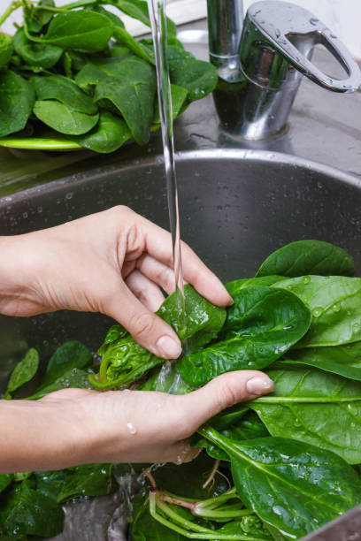 istock Woman Hands Washing Spinach in the kitchen 864329758
