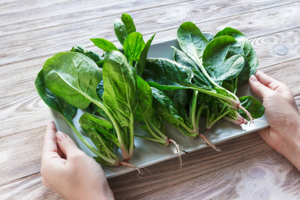 istock Fresh spinach in a plate on rustic wooden background. Meal preparation concept 864329894