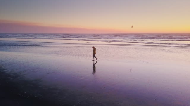 Drone Shot - Solitary Woman Walking on Beach at Sunset