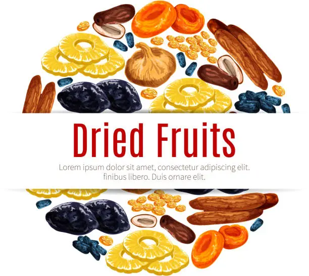 Vector illustration of Dried fruit, raisin, apricot label for food design