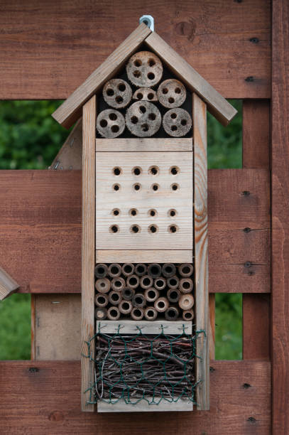 istock Homemade insects hotel house 864333180