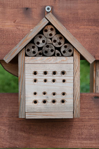 istock Homemade insects hotel house 864334000
