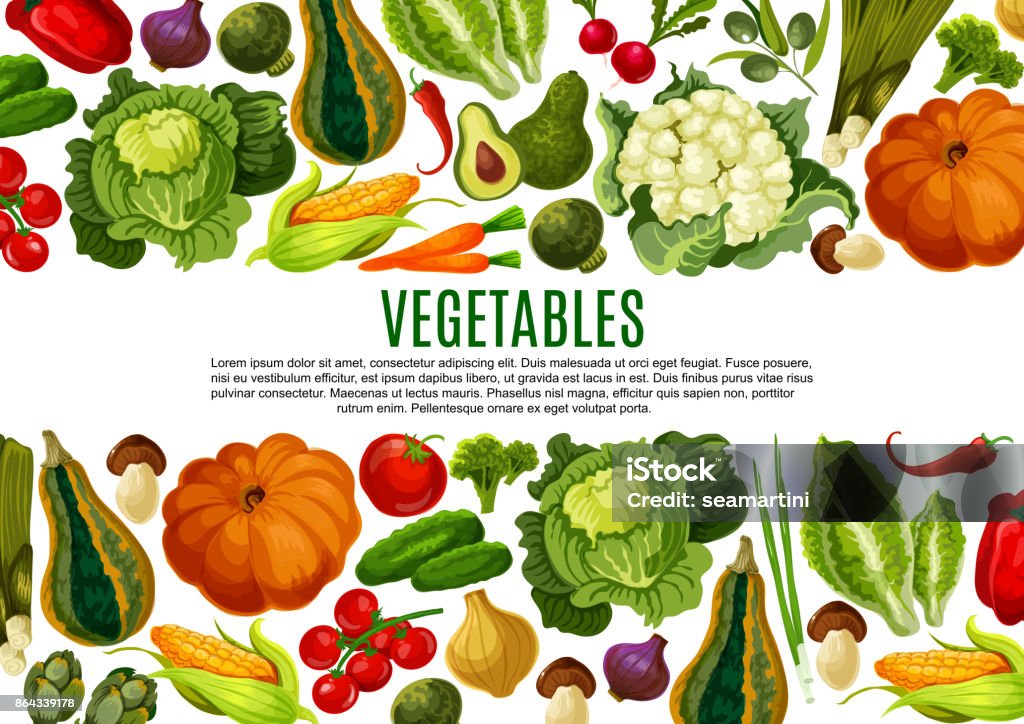 Vegetable and mushroom border banner design Vegetable and mushroom banner of farm product. Tomato, carrot and pepper, cabbage, broccoli, onion, cucumber, corn, olives, pumpkin, avocado, leek and artichoke border for vegetarian menu design Vegetable stock vector