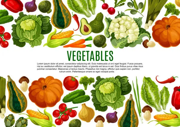 Vector illustration of Vegetable and mushroom border banner design