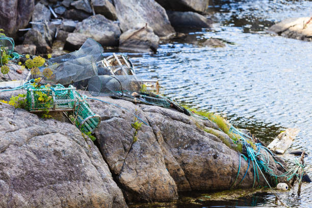 istock crab cages in harbor on shore 864339586