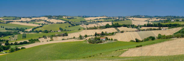 istock Summer landscape in Marches (Italy) near Ostra 864341870