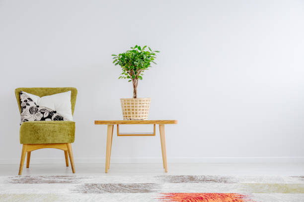 istock Potted plant in basket 864342298