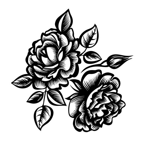 rose Vector decorative black-and-white bouquet of roses, stylized peony flowers monochrome clothing stock illustrations