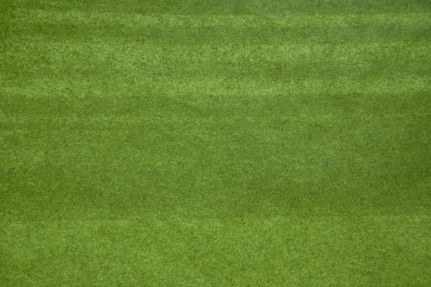 istock Background in which deep green and light green overlap. 864347062