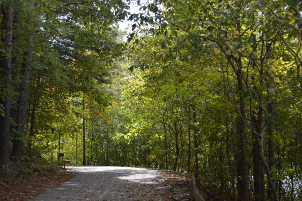 istock Little Mulberry Park, GA nature trail 864352526