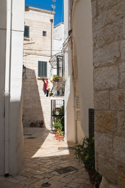 istock Alleyway. Polignano a mare. Puglia. Italy. 864355012