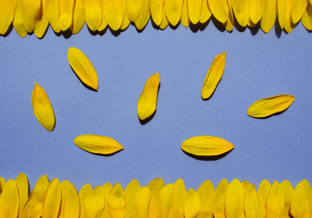 Yellow petals on green background