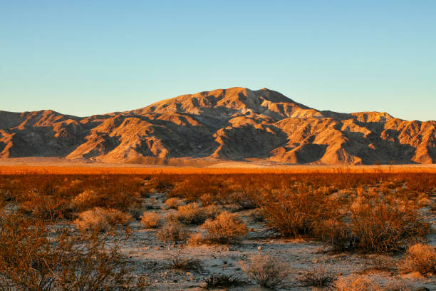 istock Joshua Tree National Park 864375990