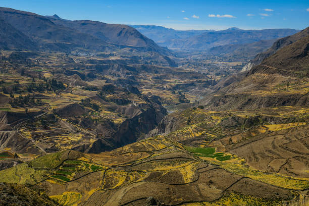 istock Hiking the Colca Canyon in Peru 864379418