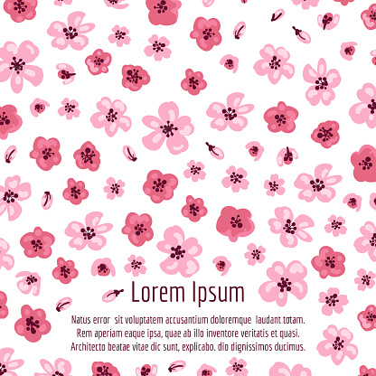 Pink sakura flowers on white background or poster, vector illustration