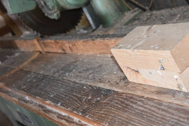 istock Industrial saw in a wood warehouse 864396706