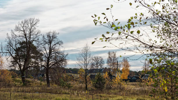 Small poor town near forest in autumn day