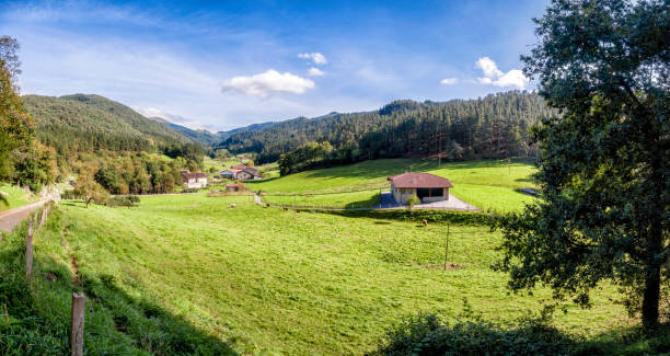 vista panoramica del villaggio di oma vicino alla città di kortezubi. riserva naturale di urdaibai, paesi baschi, provincia di vizcaya, spagna - ecological reserve foto e immagini stock