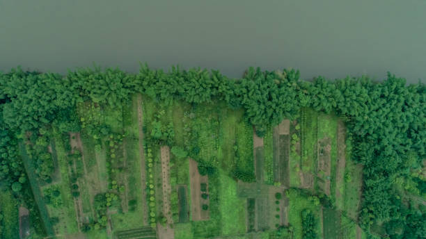 istock Static vertical top down aerial view of farmland and river 864400646